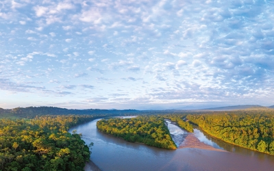 Affiche Amazonia de 2024