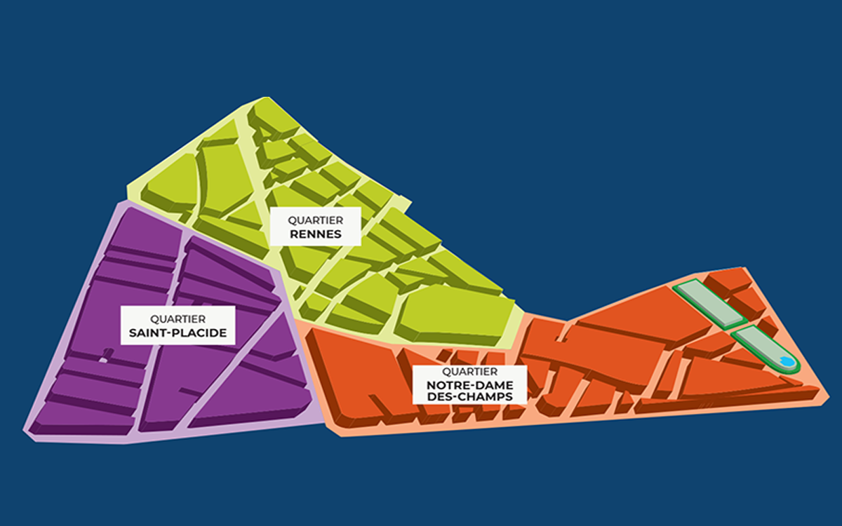 rdi du 14 novembre du  2024