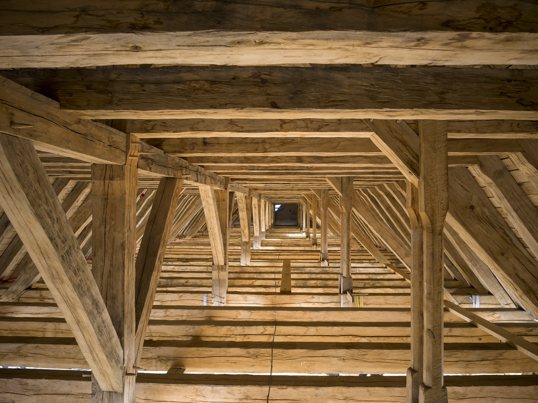 le grand comble de la nef la charpente, reconstruite à la main par les charpentiers