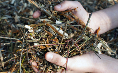 deux mains qui tiennent de la matière sèche pour le compost