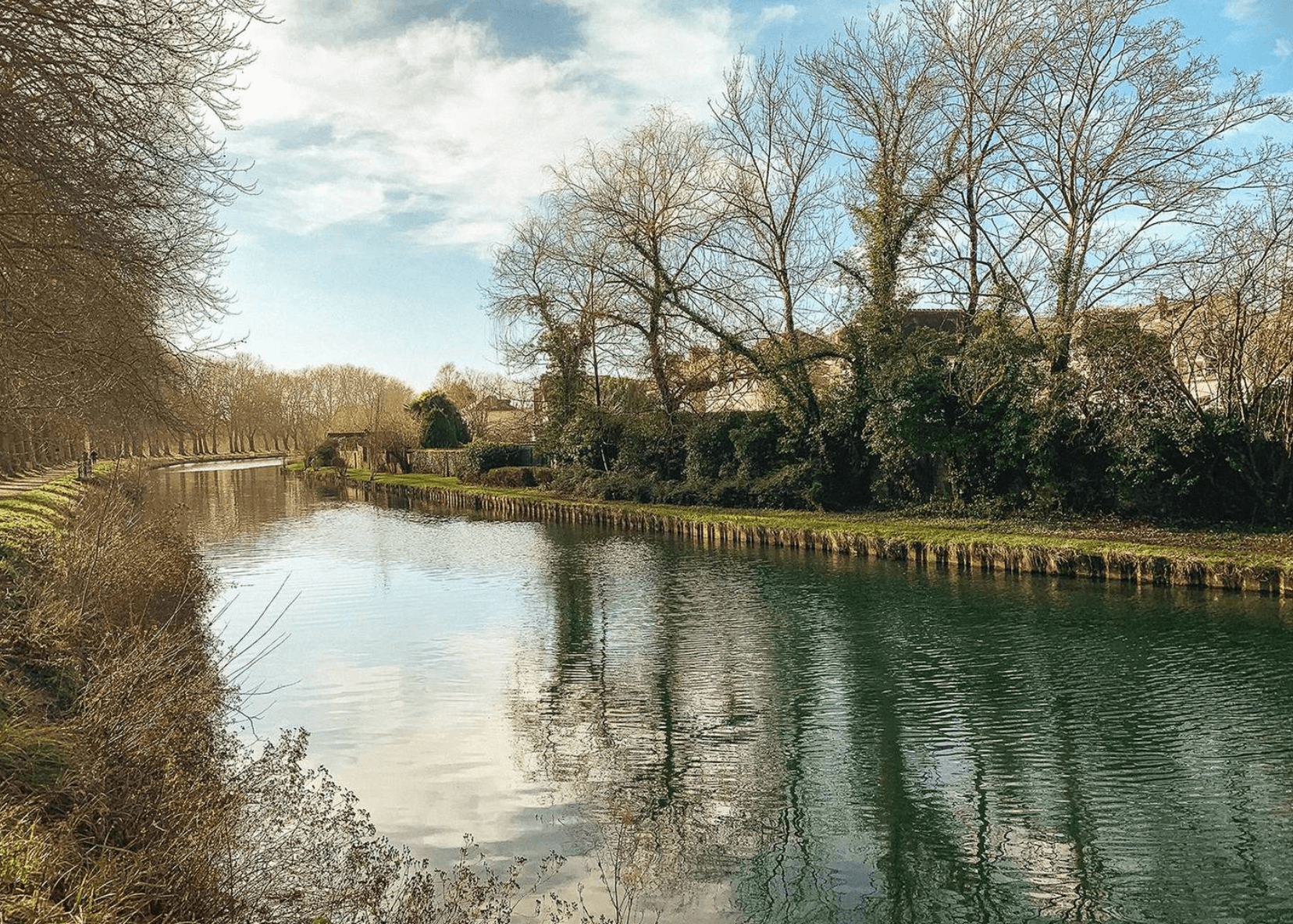 Paysage de rochers et d'arbres dans la forêt