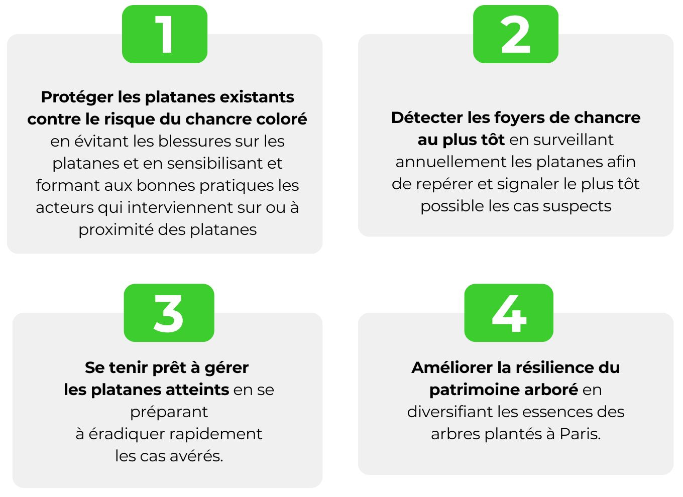 les 4 axes du plan chancre : Protéger les platanes existants , Détecter les foyers de chancre au plus tôt,  Se tenir prêt à gérer les platanes atteints, Améliorer la résilience du patrimoine arboré.