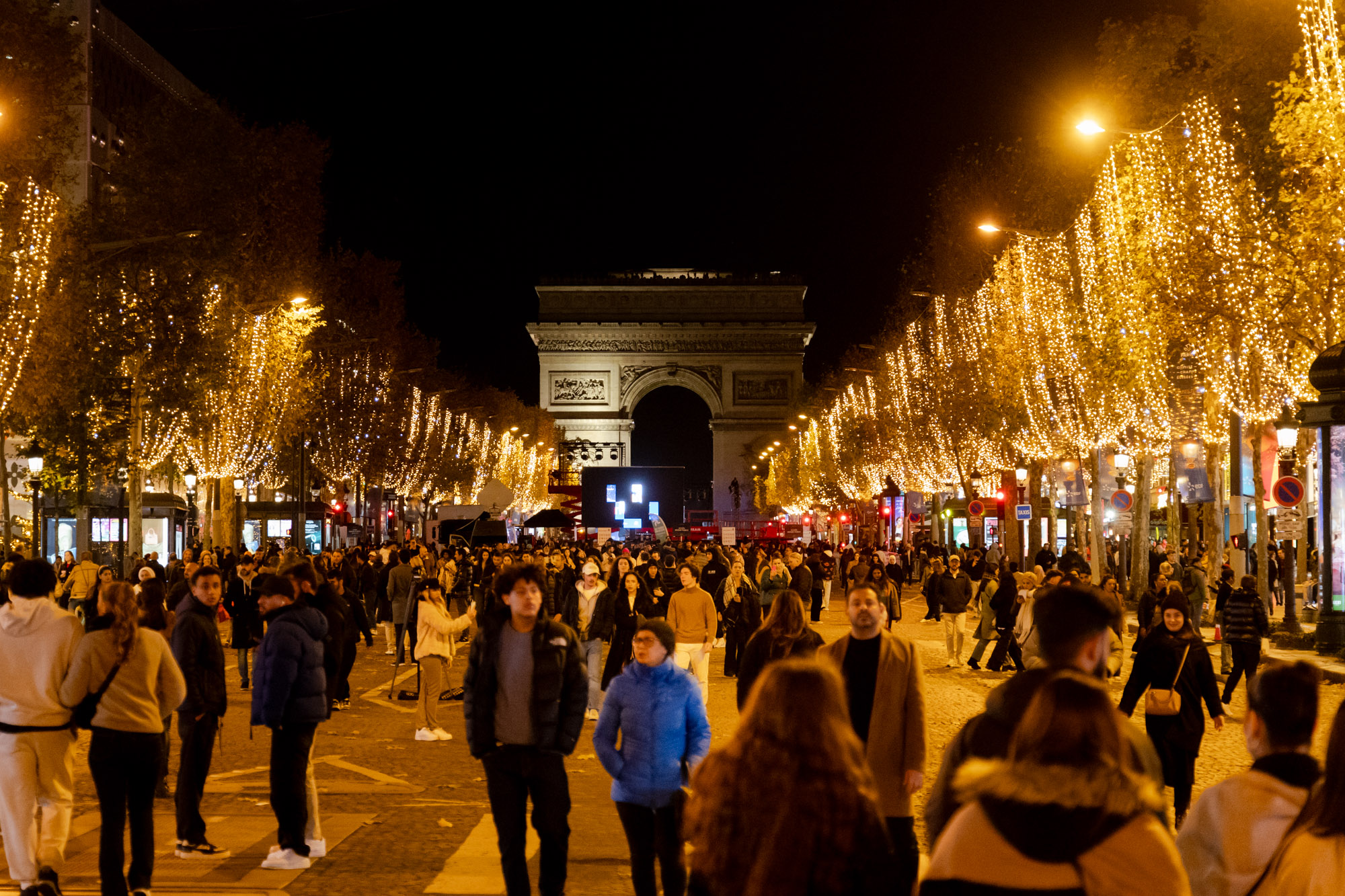 Les  arbres illuminés des Champs-Elysées.