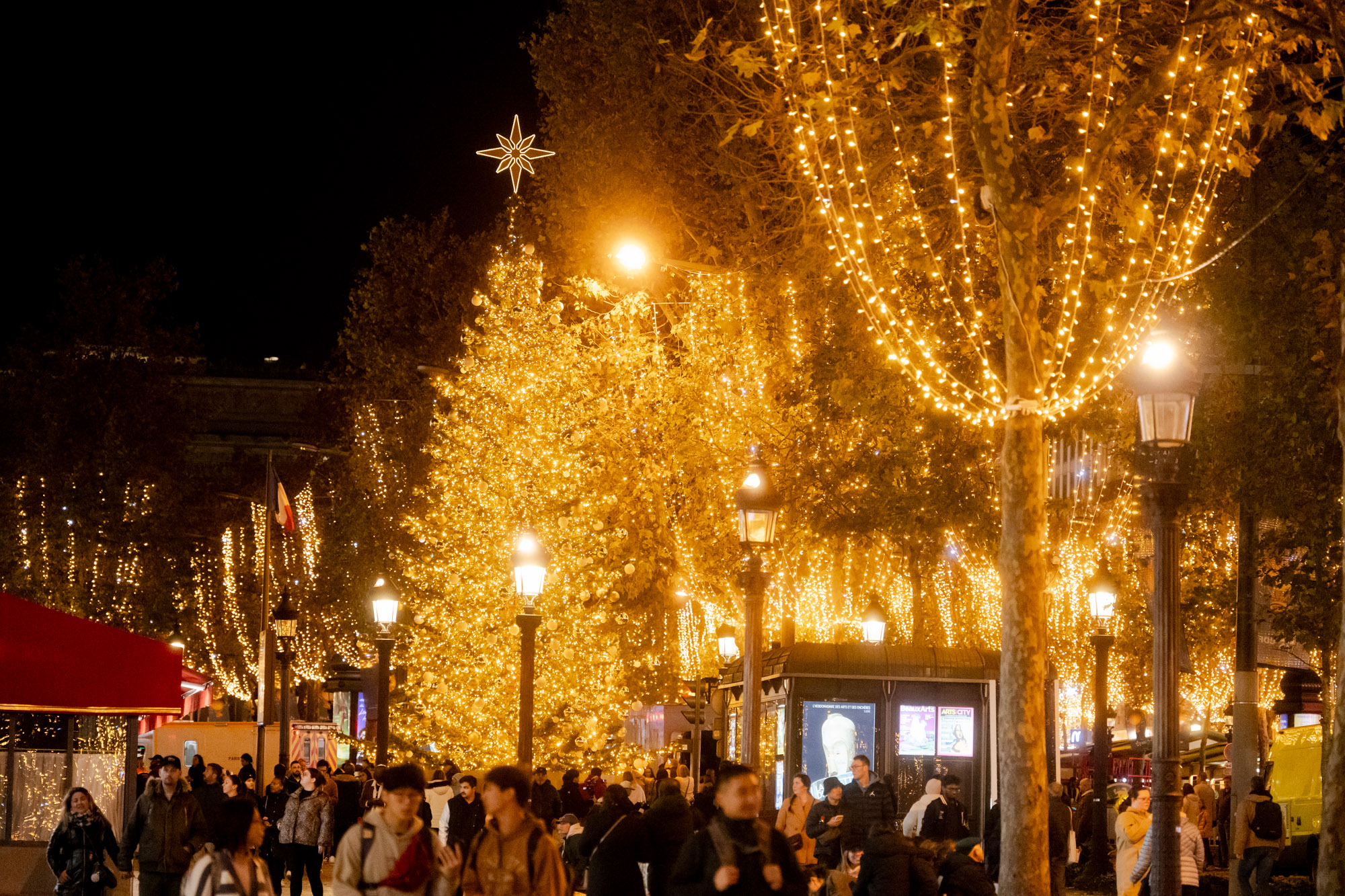 Les arbres illuminés des Champs-Elysées.