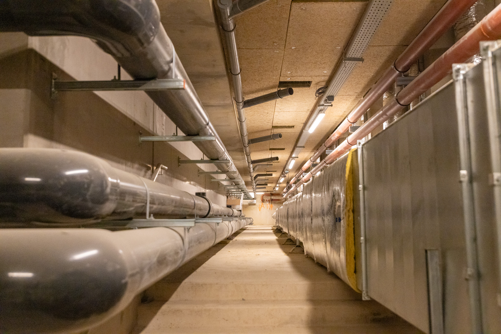 chantier piscine belliard