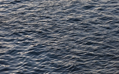 Vue de l'eau de la Seine