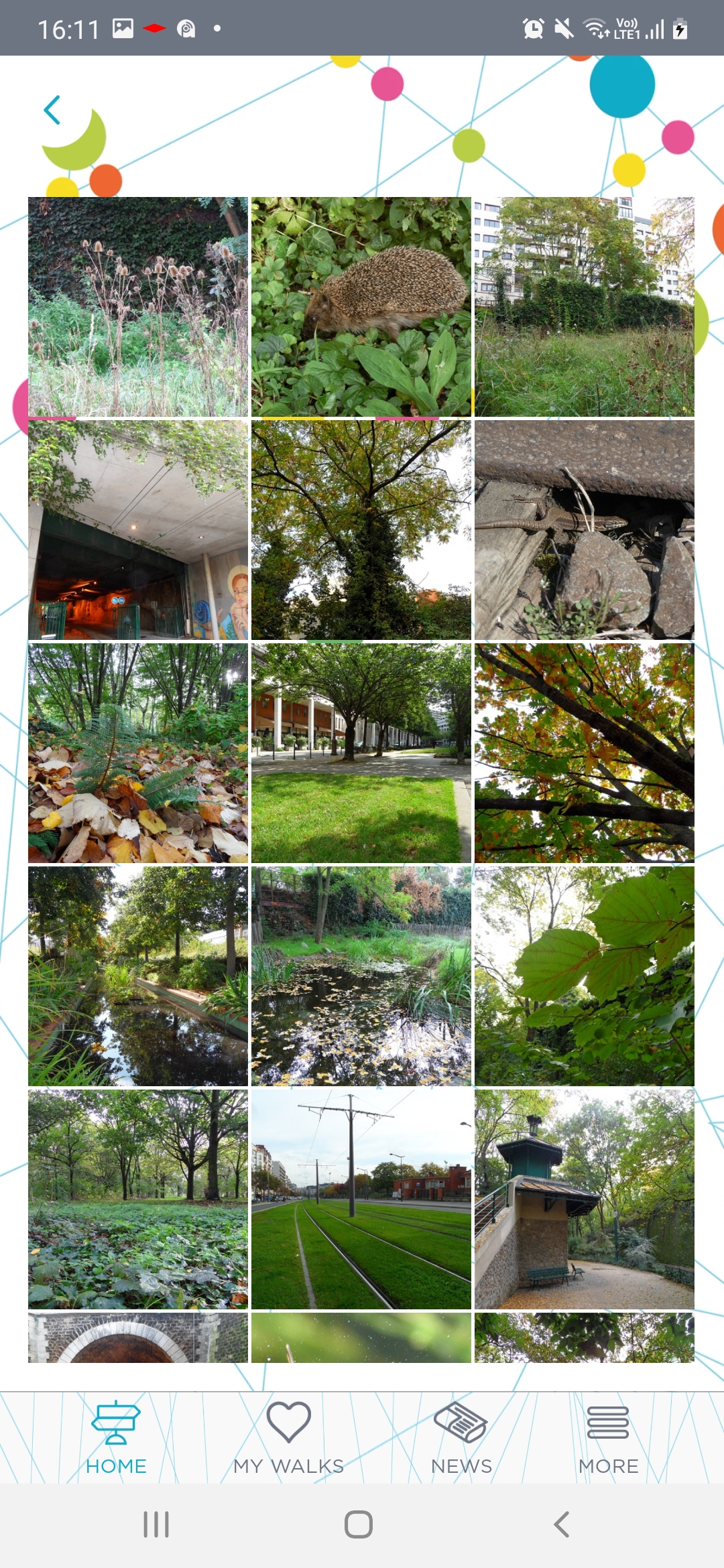Screenshot of the app's photo gallery