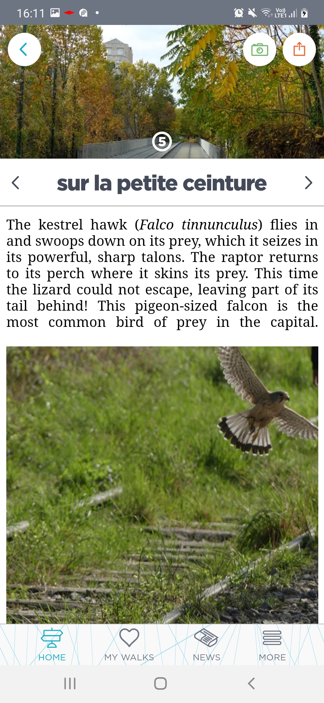 Screenshot of the app's many descriptive features