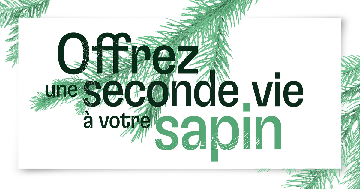 Illustration de la campagne "Offrez une seconde vie à votre sapin"