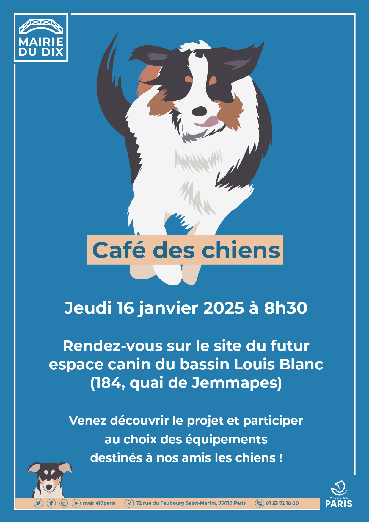 chien blanc sur fond bleu