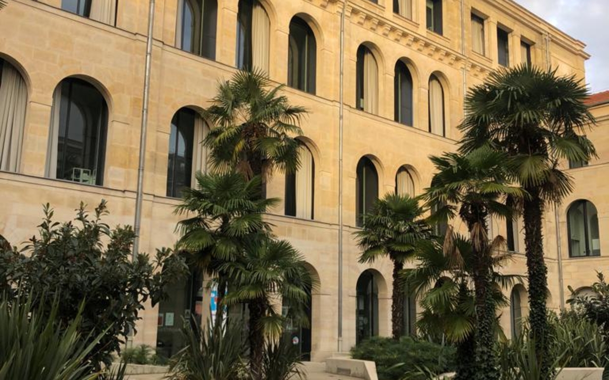 bâtiment entouré de palmiers et végétation