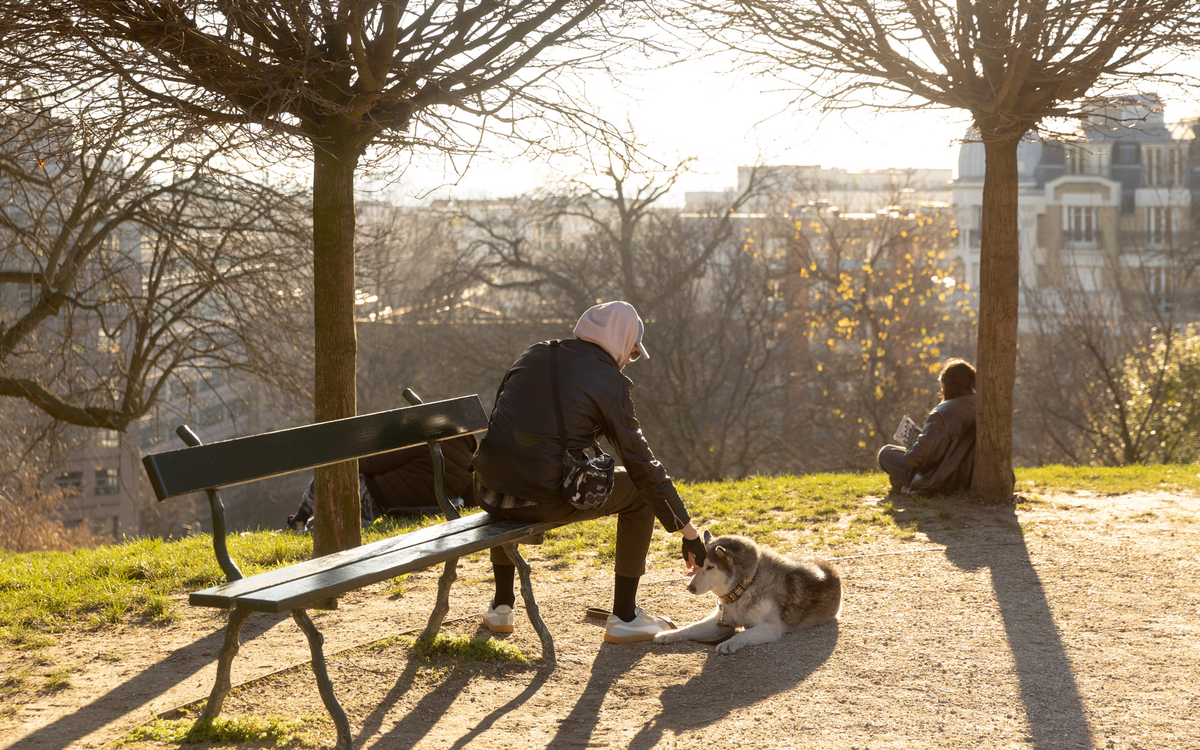 Une personne et son chien profitent Deux personnes profitent du  soleil d'hiver dans le Parc des Buttes Chaumont