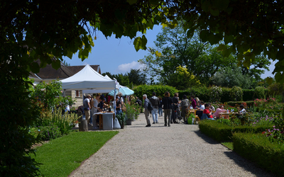 Roseraie du Jardin de l'École Du Breuil