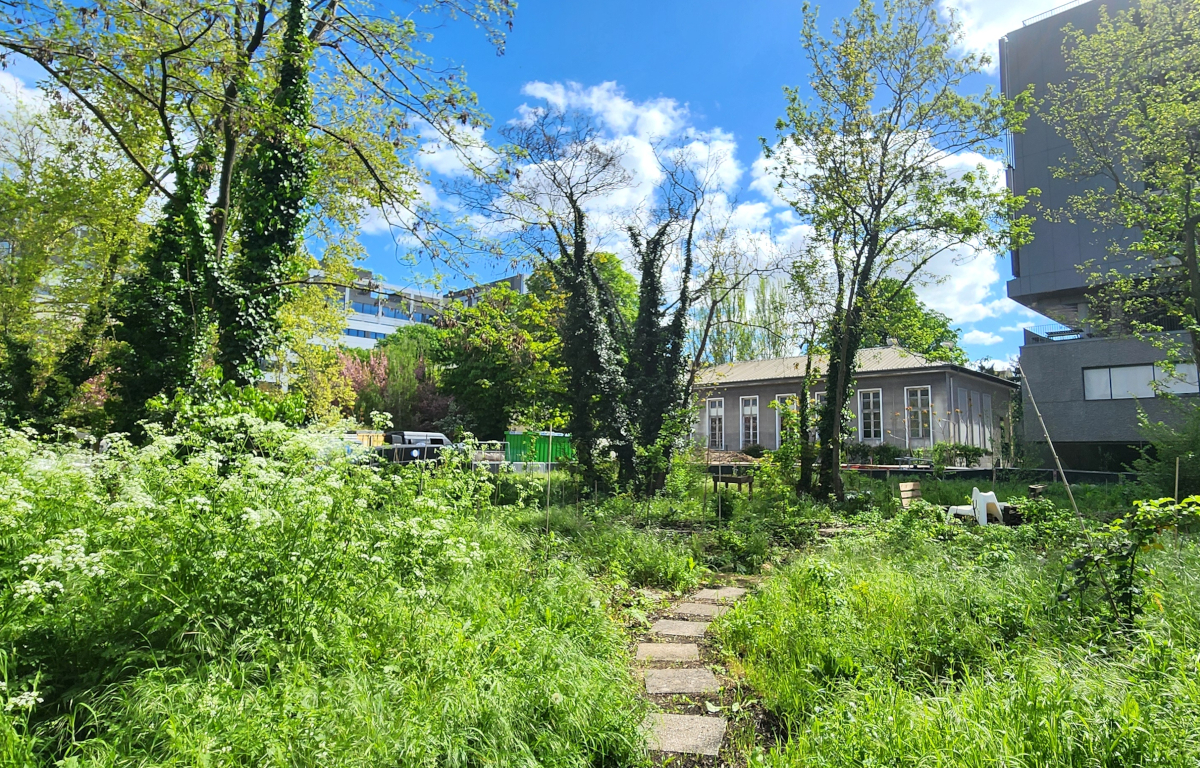 vue d'un projet forestier 