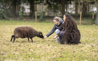 Deux jeunes avec des moutons 