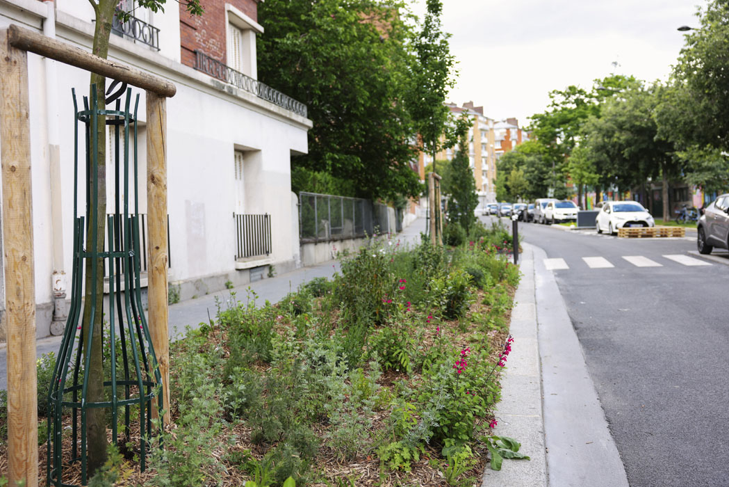 Photo de la ceinture verte