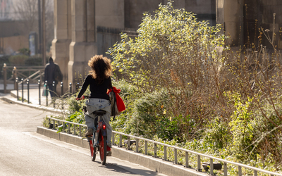 Une cycliste parcoure sous le soleil une rue végétalisée du 11ème.