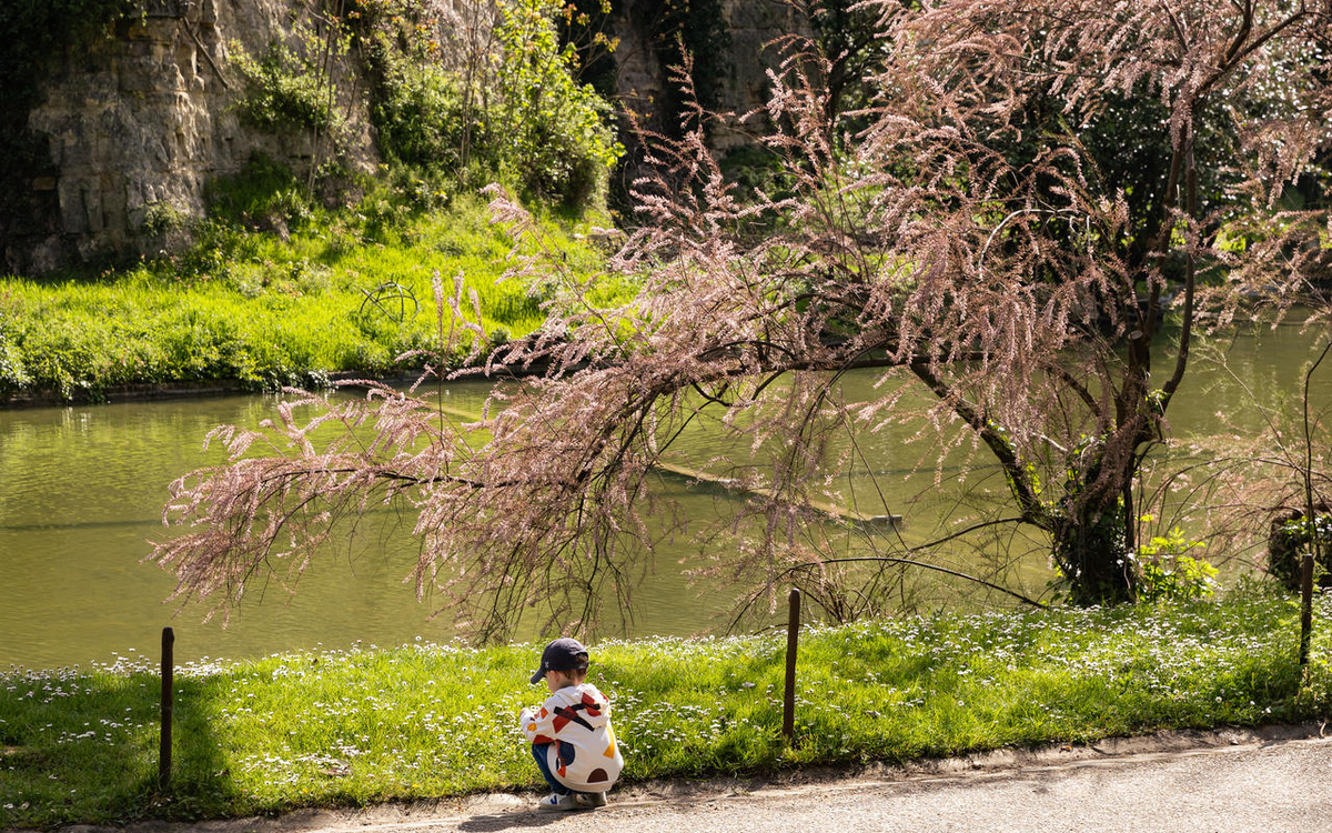 Enfant dans un parc