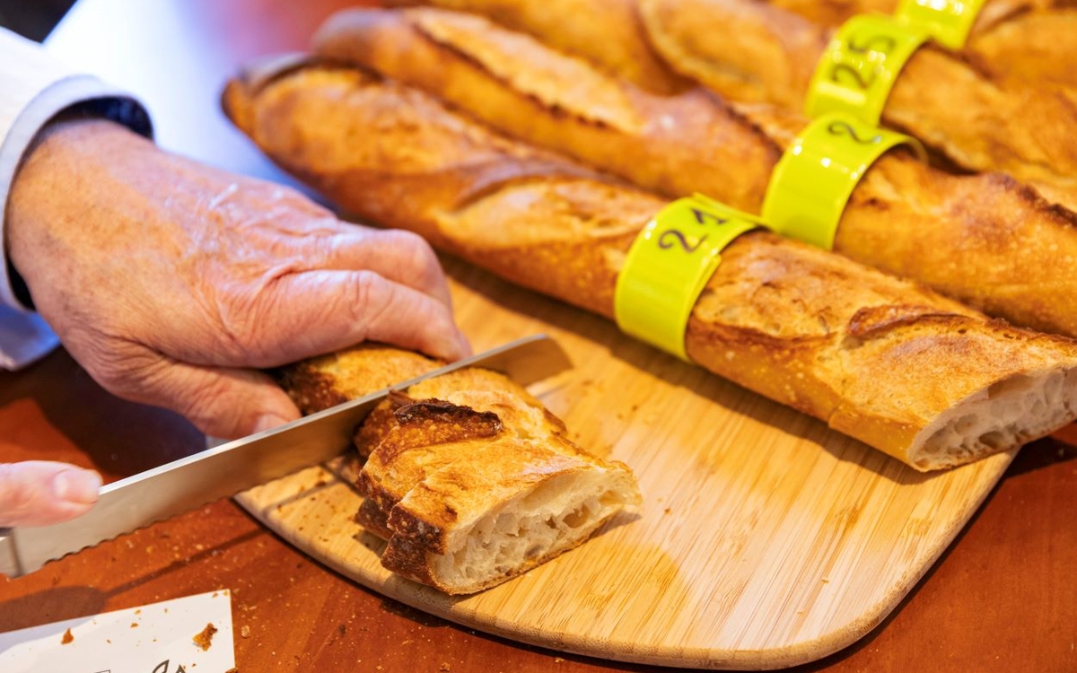 Baguettes exposées pour le jury lors du grand prix de la baguette 2025