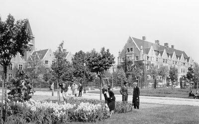 Parc avec des arbres - photo noir et blanc