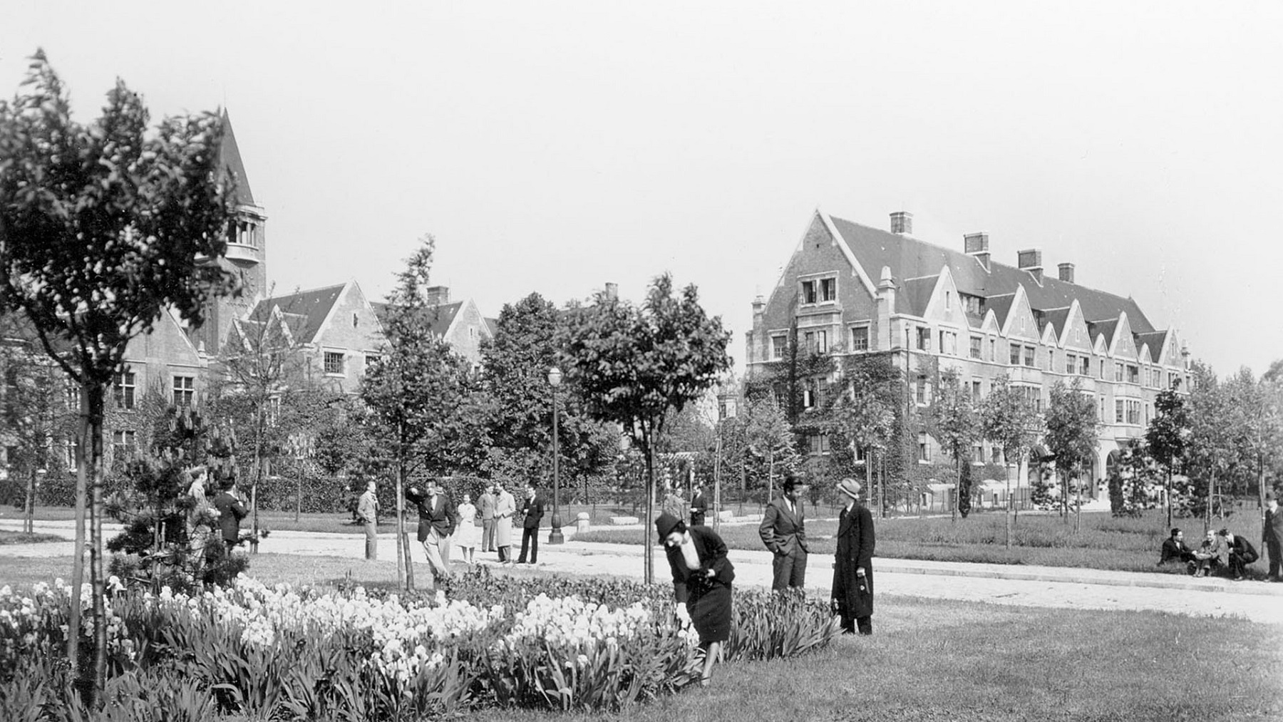 Parc avec des arbres - photo noir et blanc