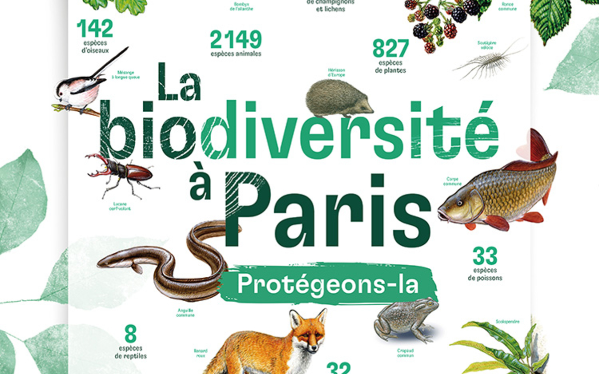 Affiche représentant la variété de la biodiversité à Paris
