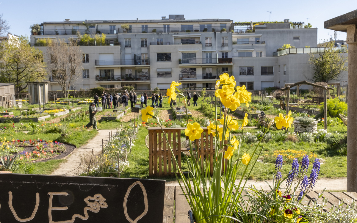 Ferme urbaine Le paysan urbain.