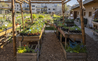 Ferme urbaine Le paysan urbain.