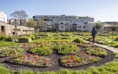 Ferme urbaine Le paysan urbain.