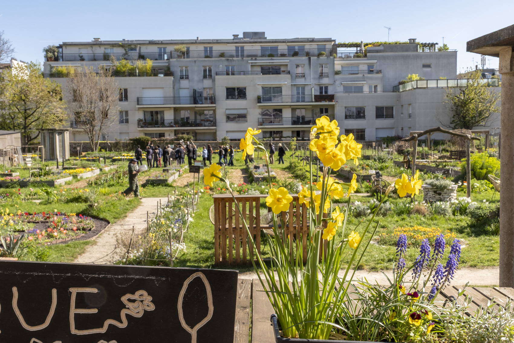 Ferme urbaine Le paysan urbain.