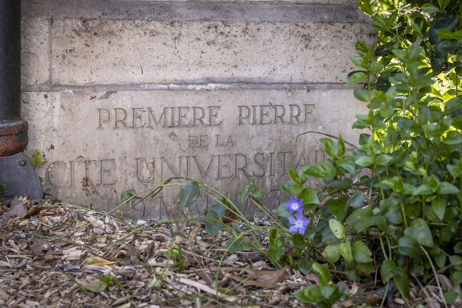 Vue de la première pierre de la CIUP.