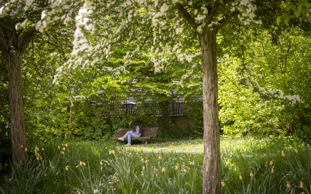 Ado dans un parc au printemps.