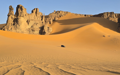 Exposition de L'art du désert