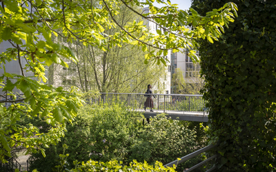 Un parc au printemps