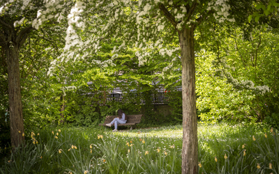 Ado dans un parc au printemps.