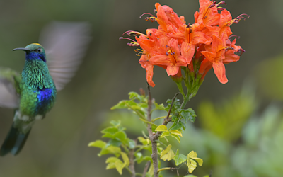 Exposition de Voyage en Équateur