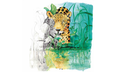 Exposition de Loin du bruit du monde