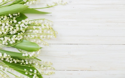 muguet 