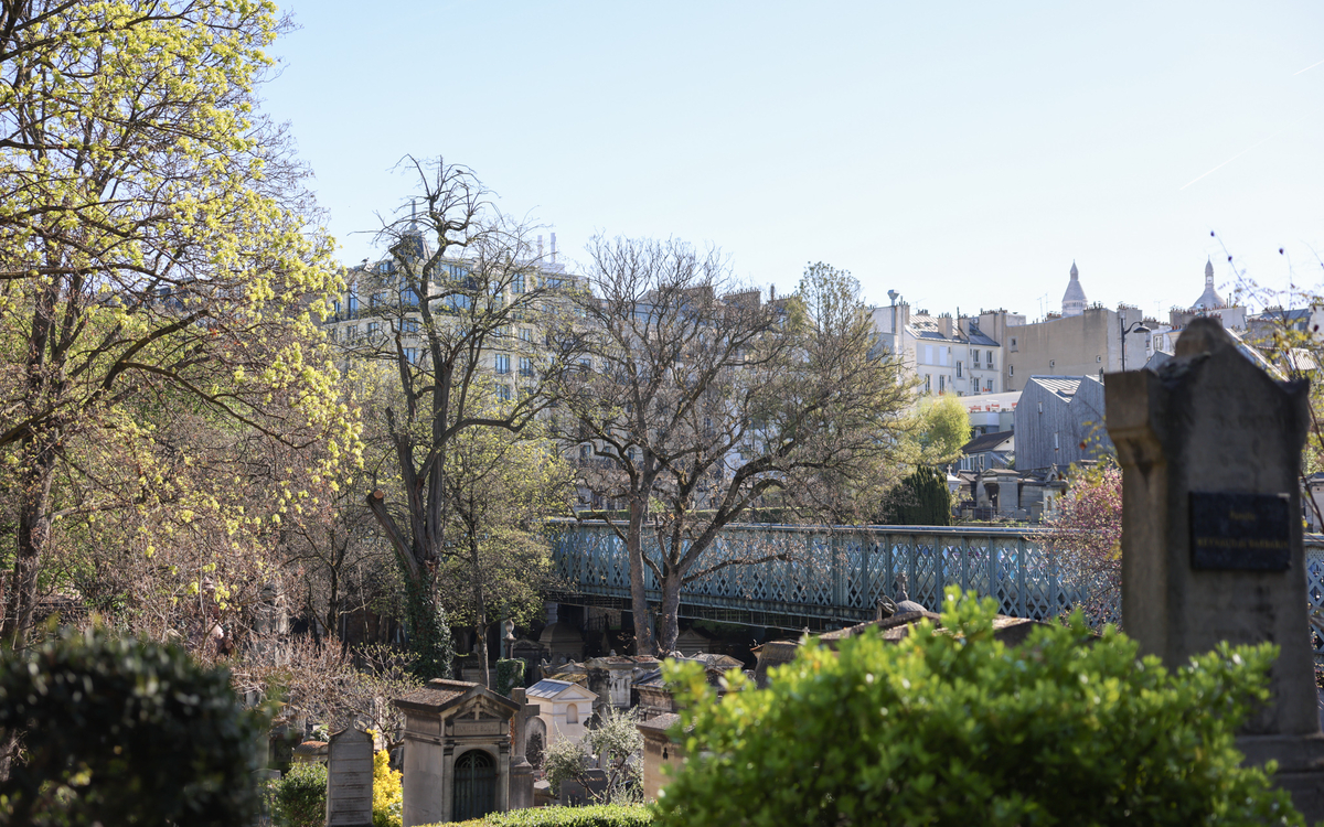 cimetière montmartre