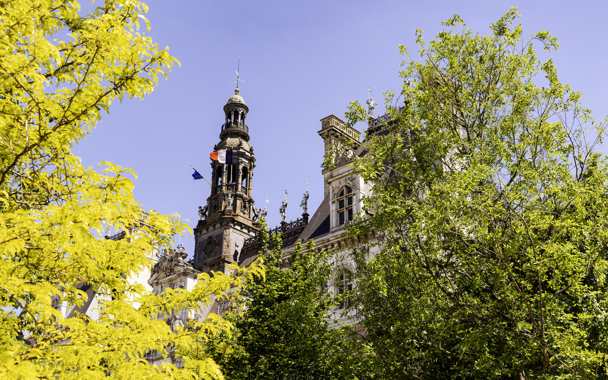Chantier de plantation de la forêt urbaine sur le parvis de l'Hôtel de Ville