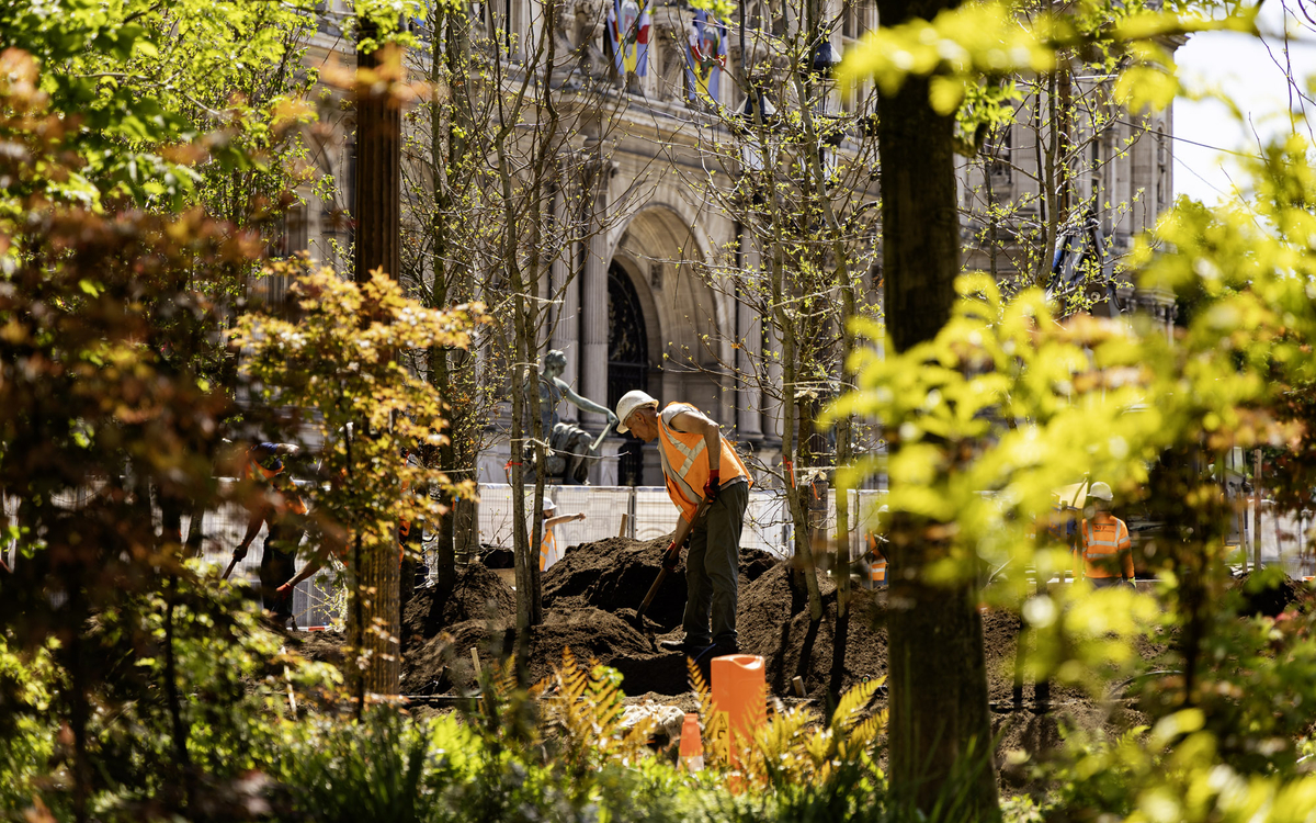 Chantier de plantation de la forêt urbaine sur le parvis de l'Hôtel de Ville