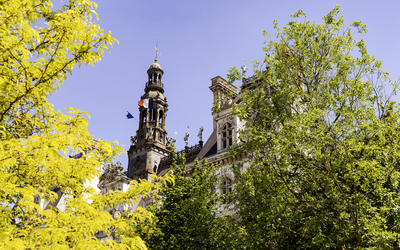 Chantier de plantation de la forêt urbaine sur le parvis de l'Hôtel de Ville