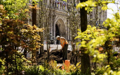Chantier de plantation de la forêt urbaine sur le parvis de l'Hôtel de Ville