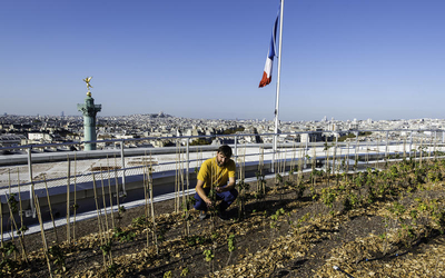 un agriculteur urbain sur le toit de l'opéra Bastille 