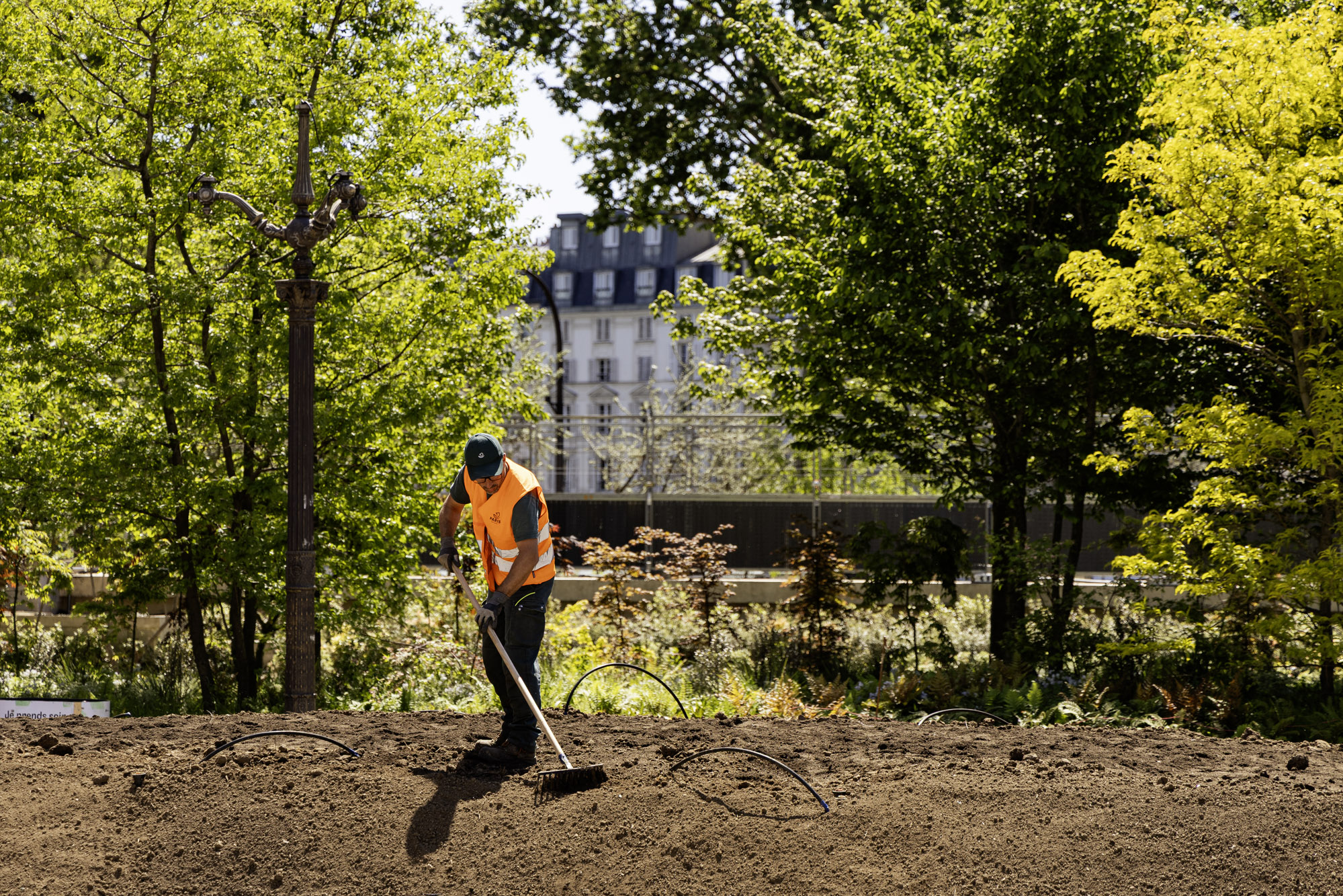 Chantier de plantation de la forêt urbaine sur le parvis de l'Hôtel de Ville