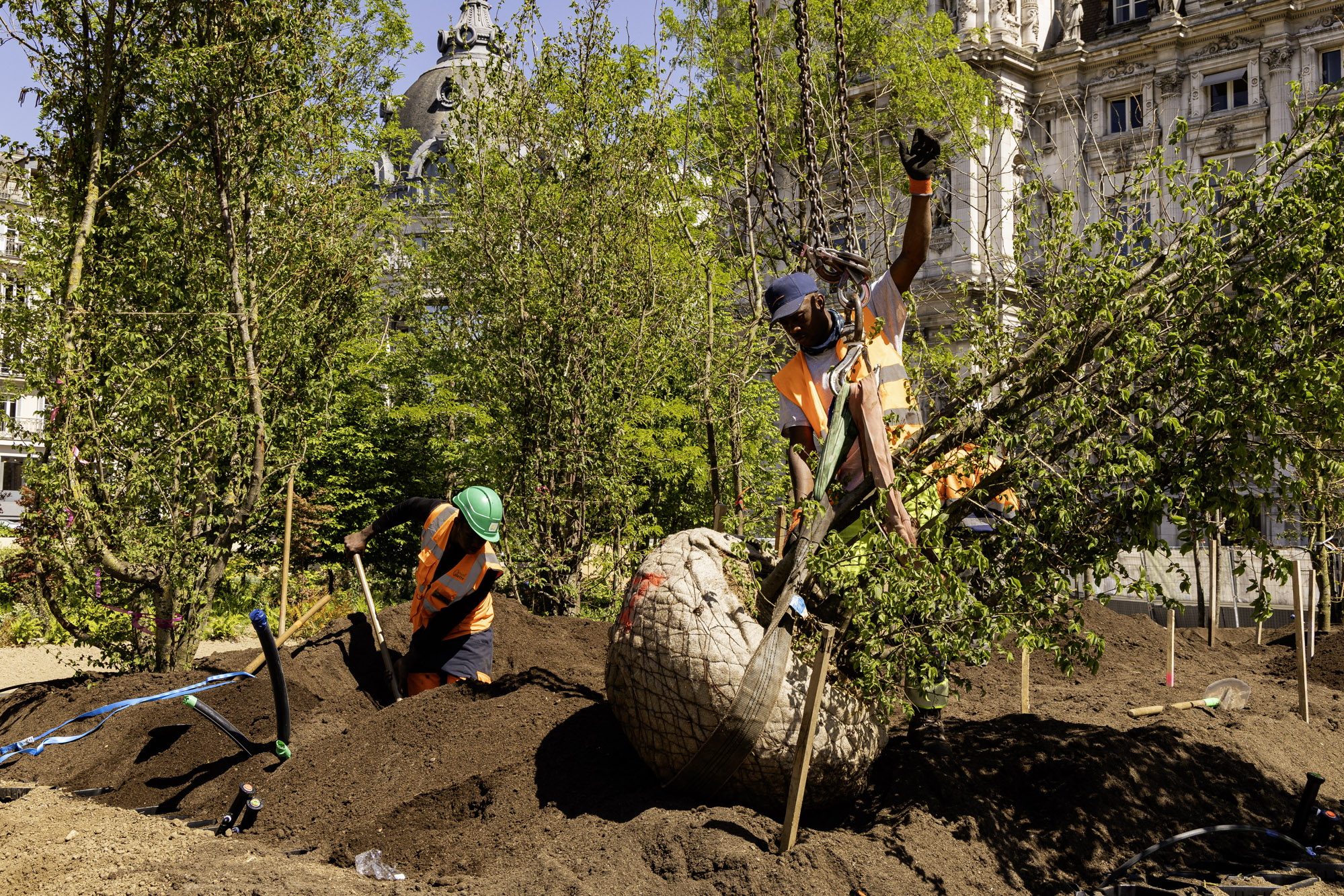 Chantier de plantation de la forêt urbaine sur le parvis de l'Hôtel de Ville