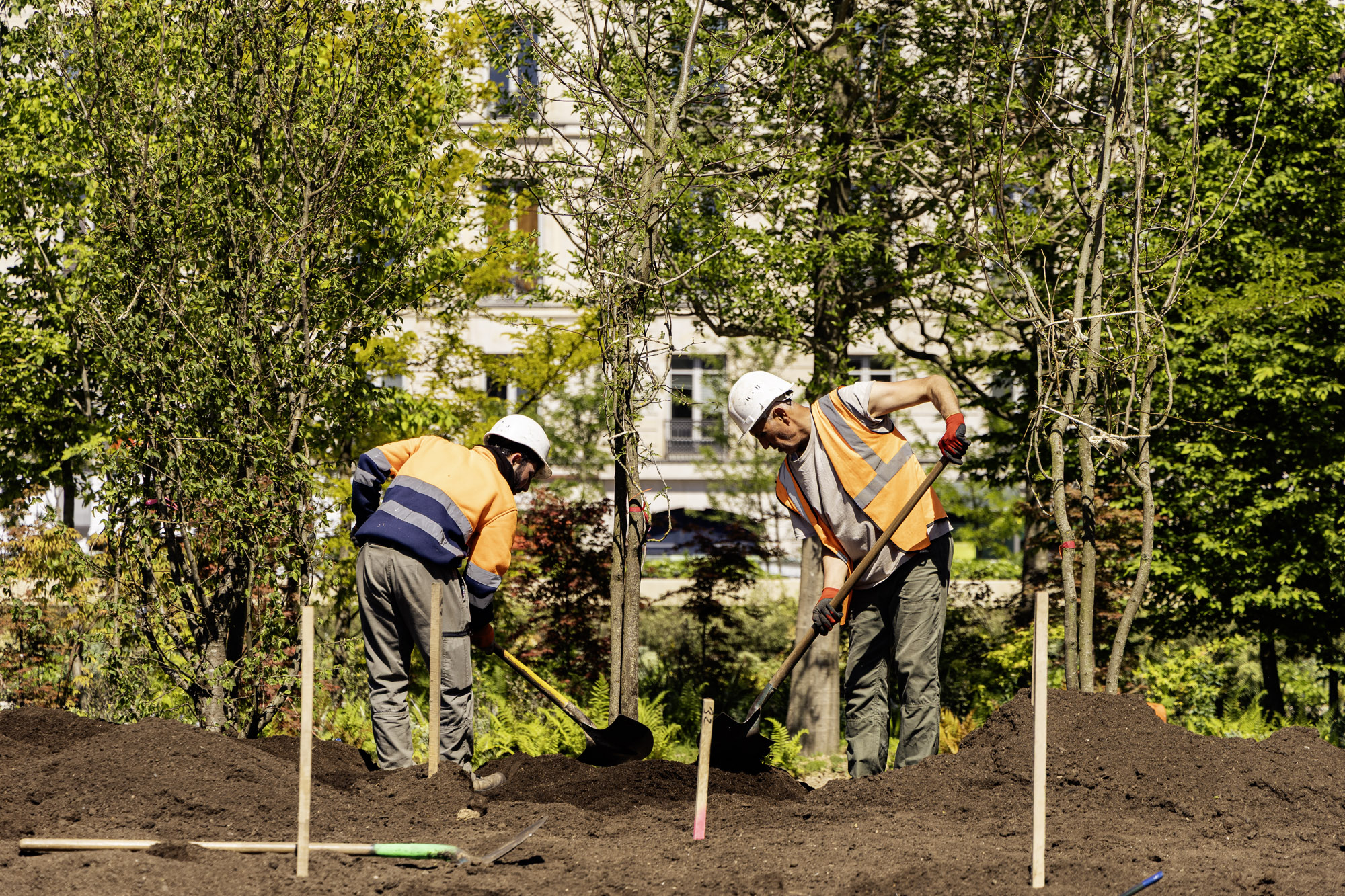 Chantier de plantation de la forêt urbaine sur le parvis de l'Hôtel de Ville