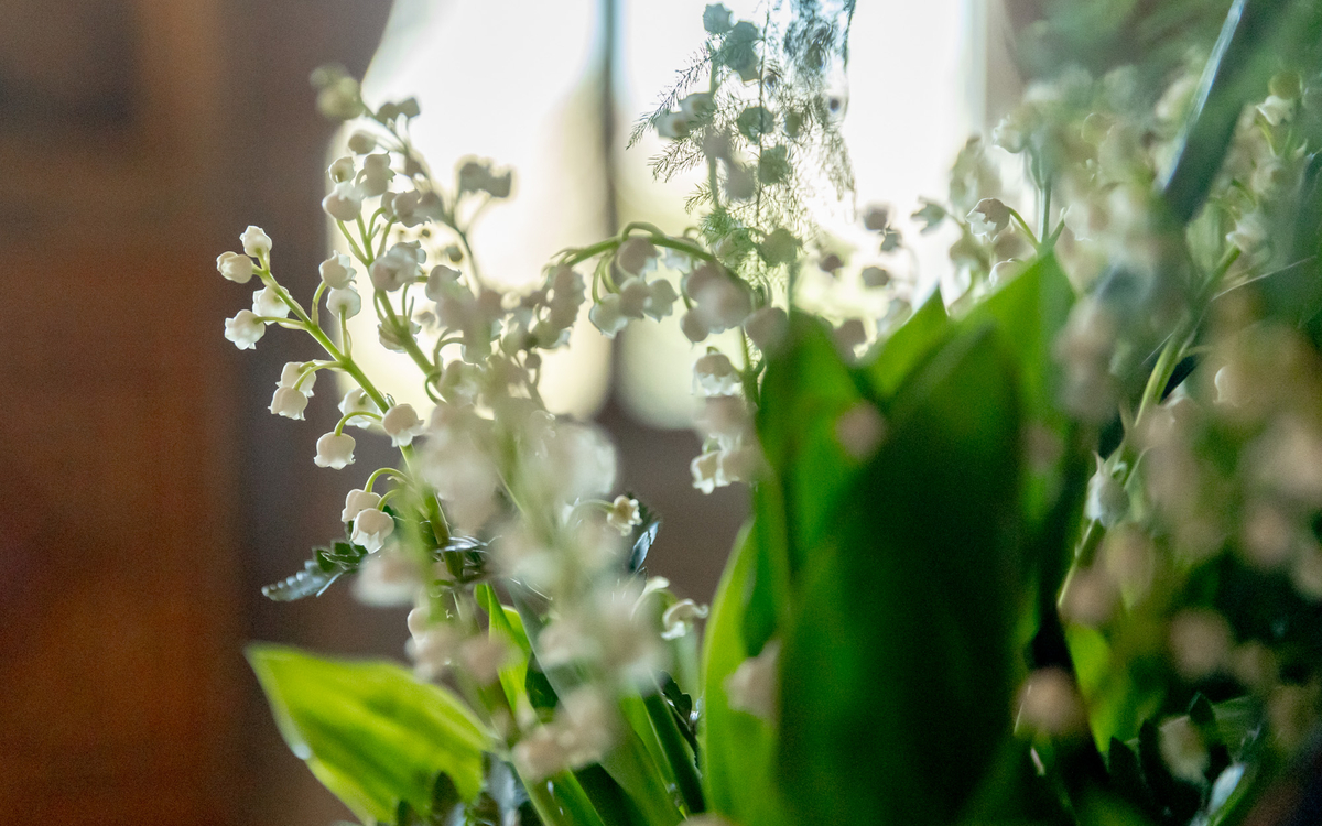 Brin de muguet