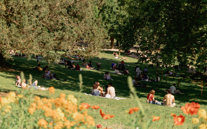 Repos au soleil sur les pelouses du parc des Buttes Chaumont.