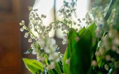 Brin de muguet 